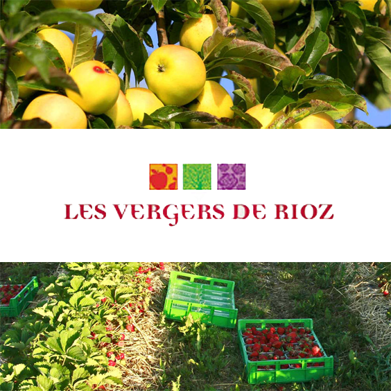 Un jardin de curé à Rioz (70) - France Bleu